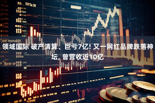 领域国际 破产清算、巨亏7亿! 又一网红品牌跌落神坛, 曾营收近10亿